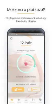 PregHello – terhesség hétről hétre ⭐⭐⭐⭐⭐ android App screenshot 6